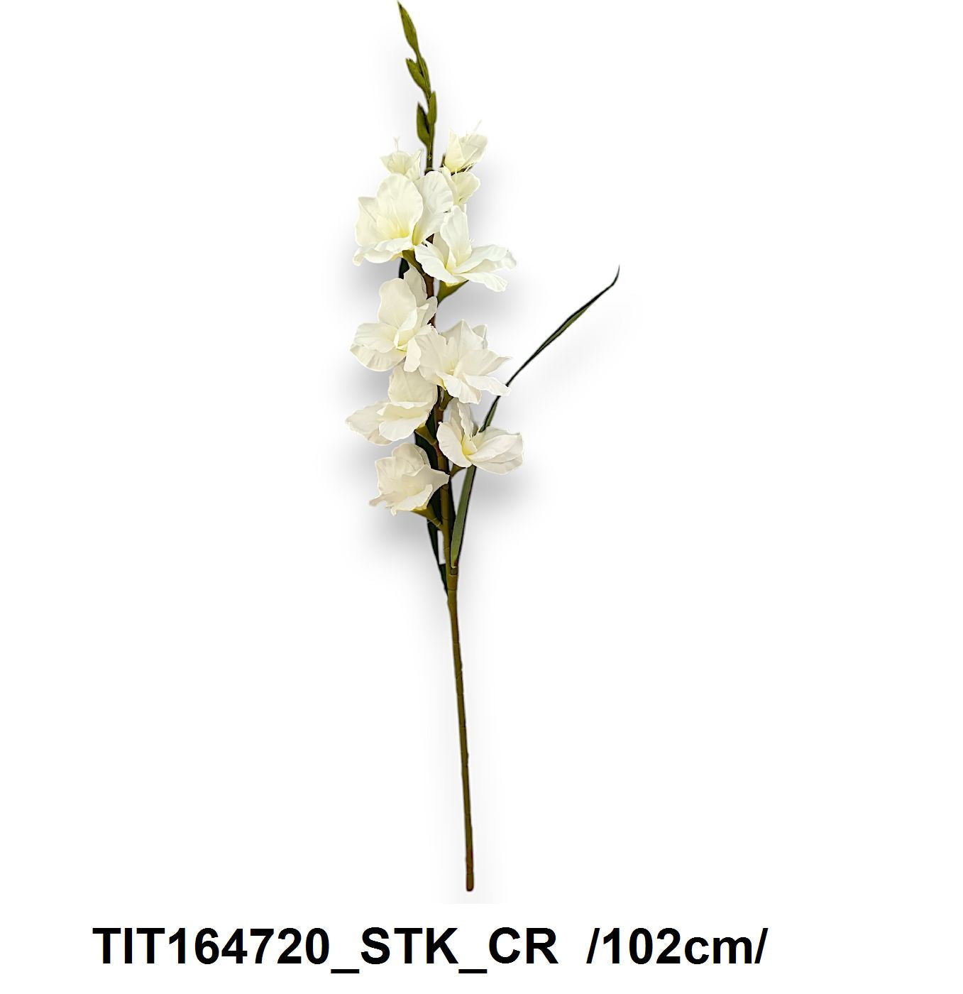 Szálas kardvirág /102cm/ Fő kép