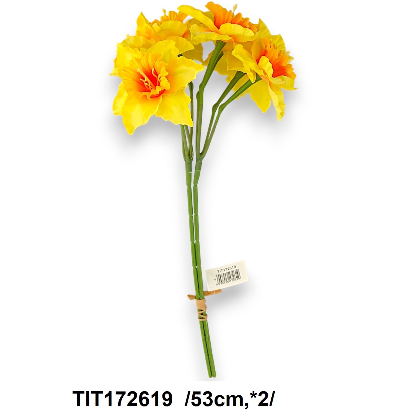 Nárcisz köteg /53cm,*2/ Fő kép