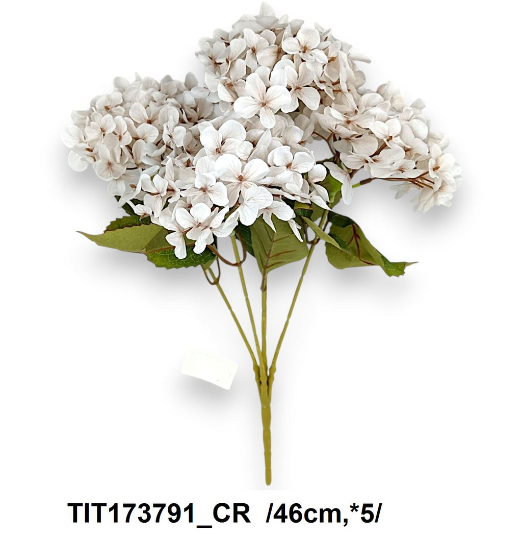TIT173791_CR