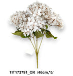 TIT173791_CR