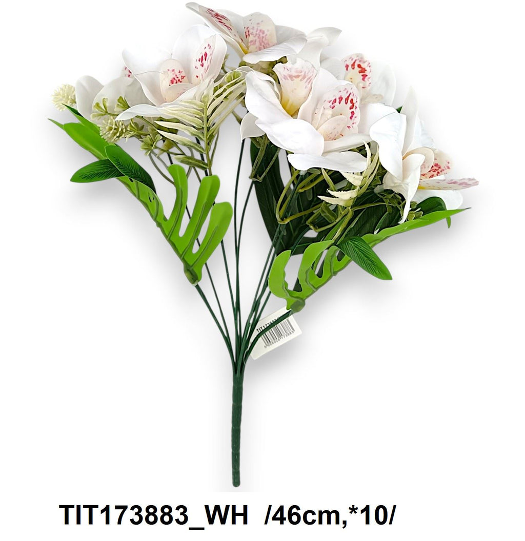 TIT173883_WH