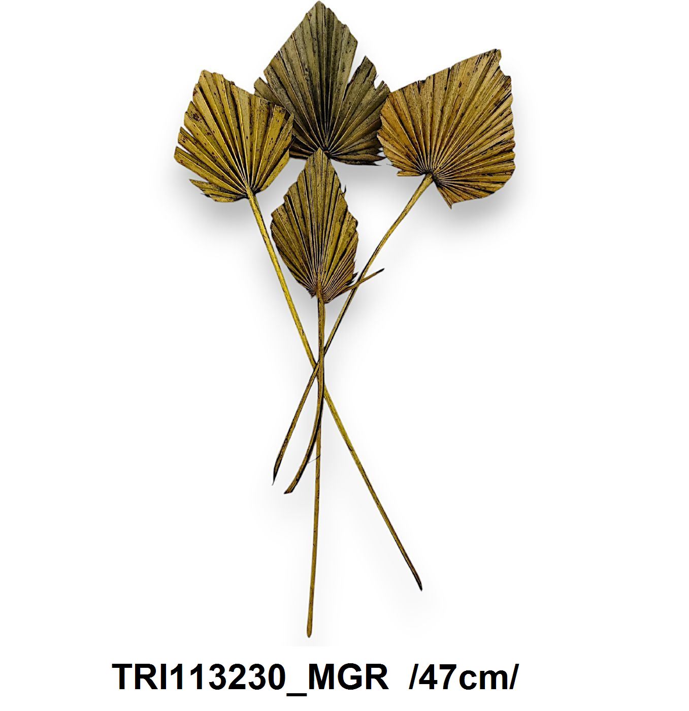 TRI113230_MGR