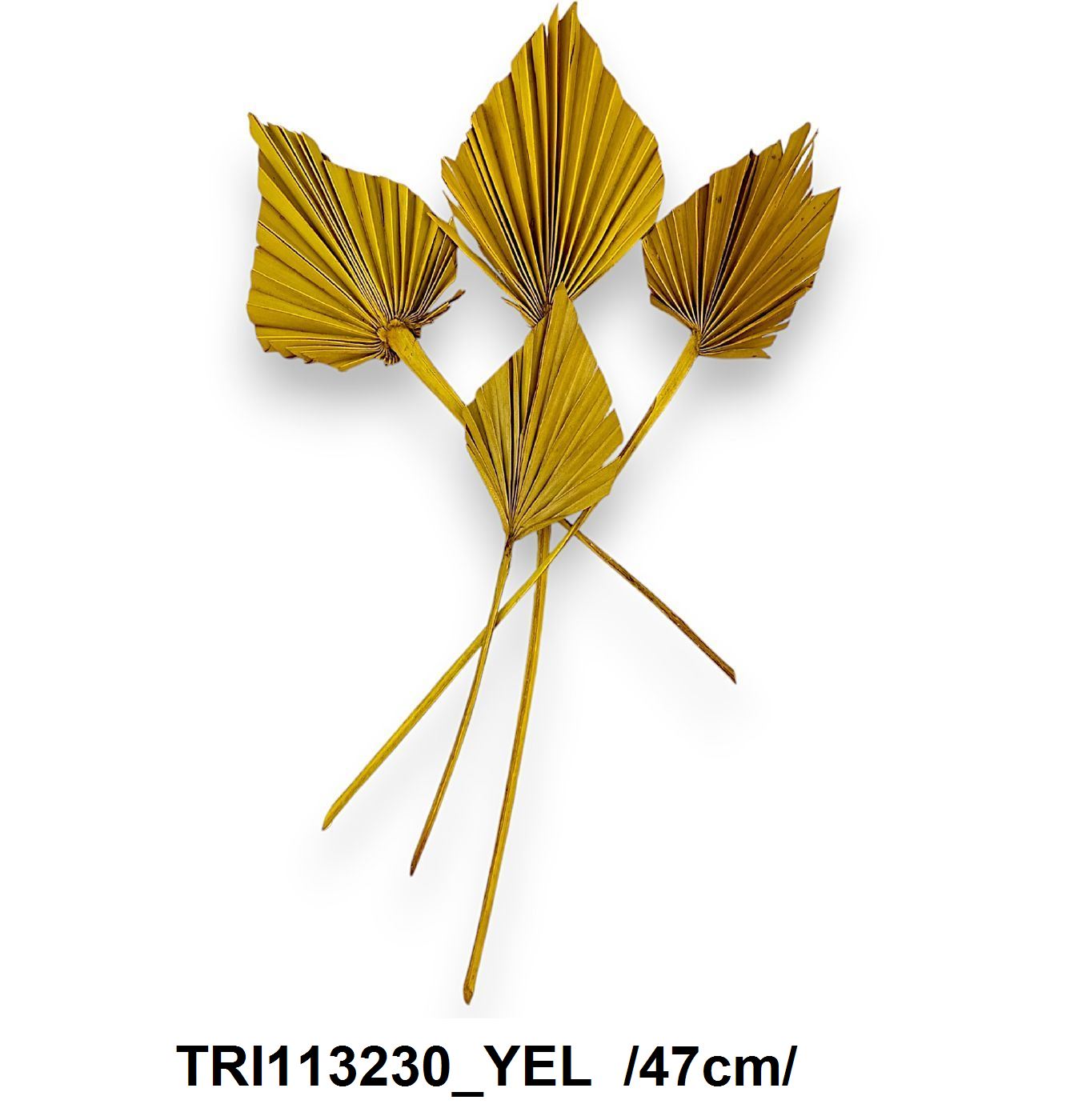TRI113230_YEL