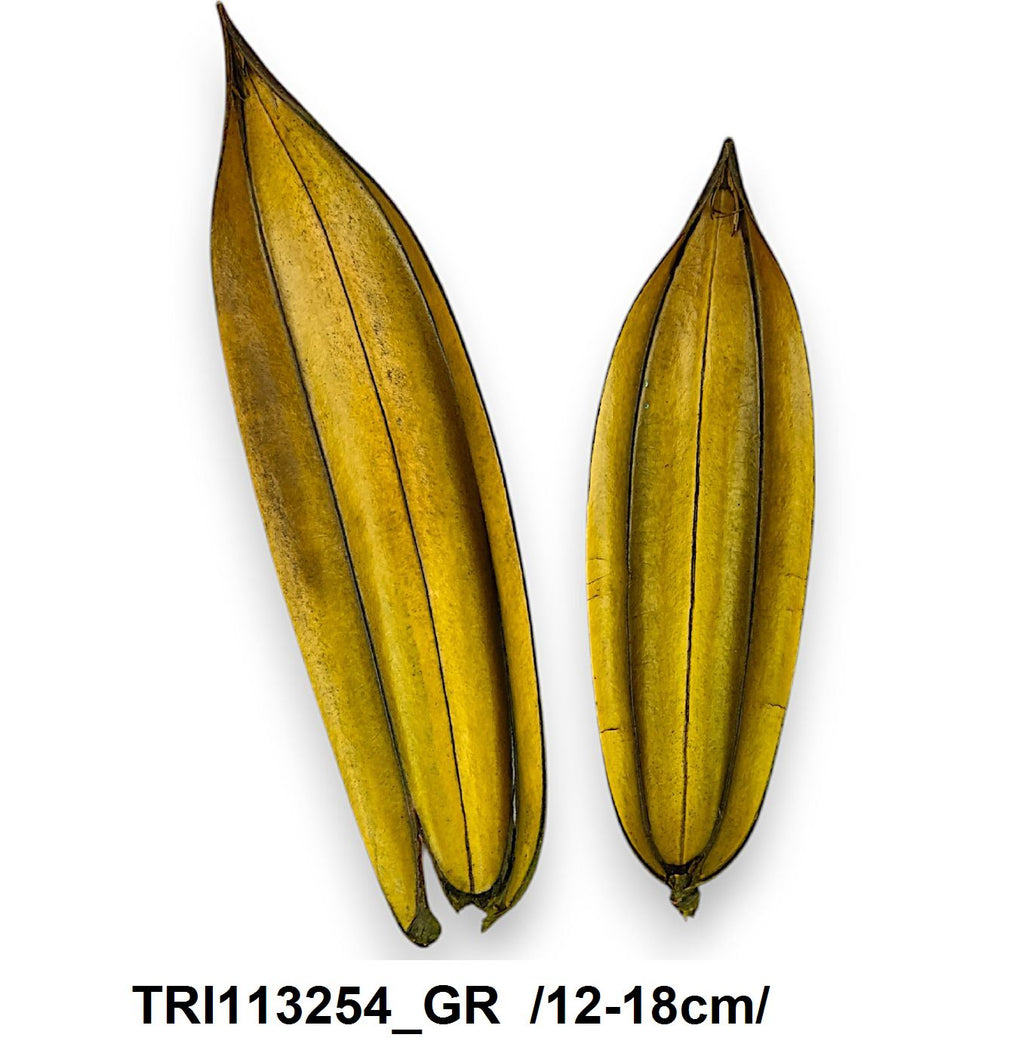 TRI113254_GR