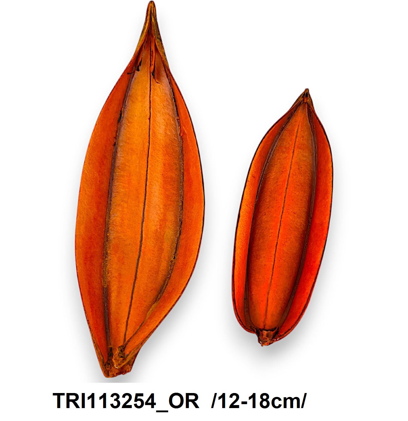 TRI113254_OR