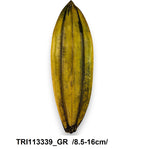 TRI113339_GR