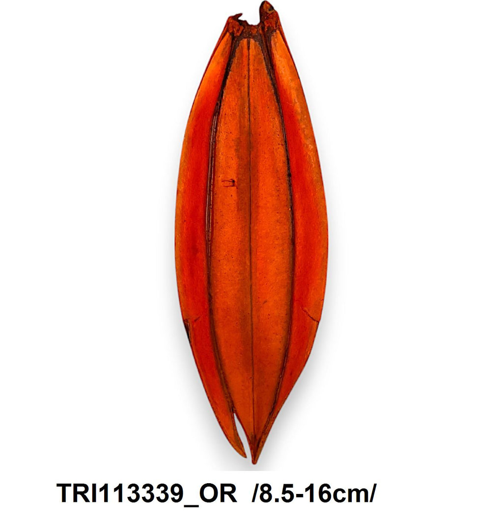 TRI113339_OR