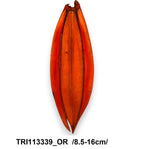 TRI113339_OR