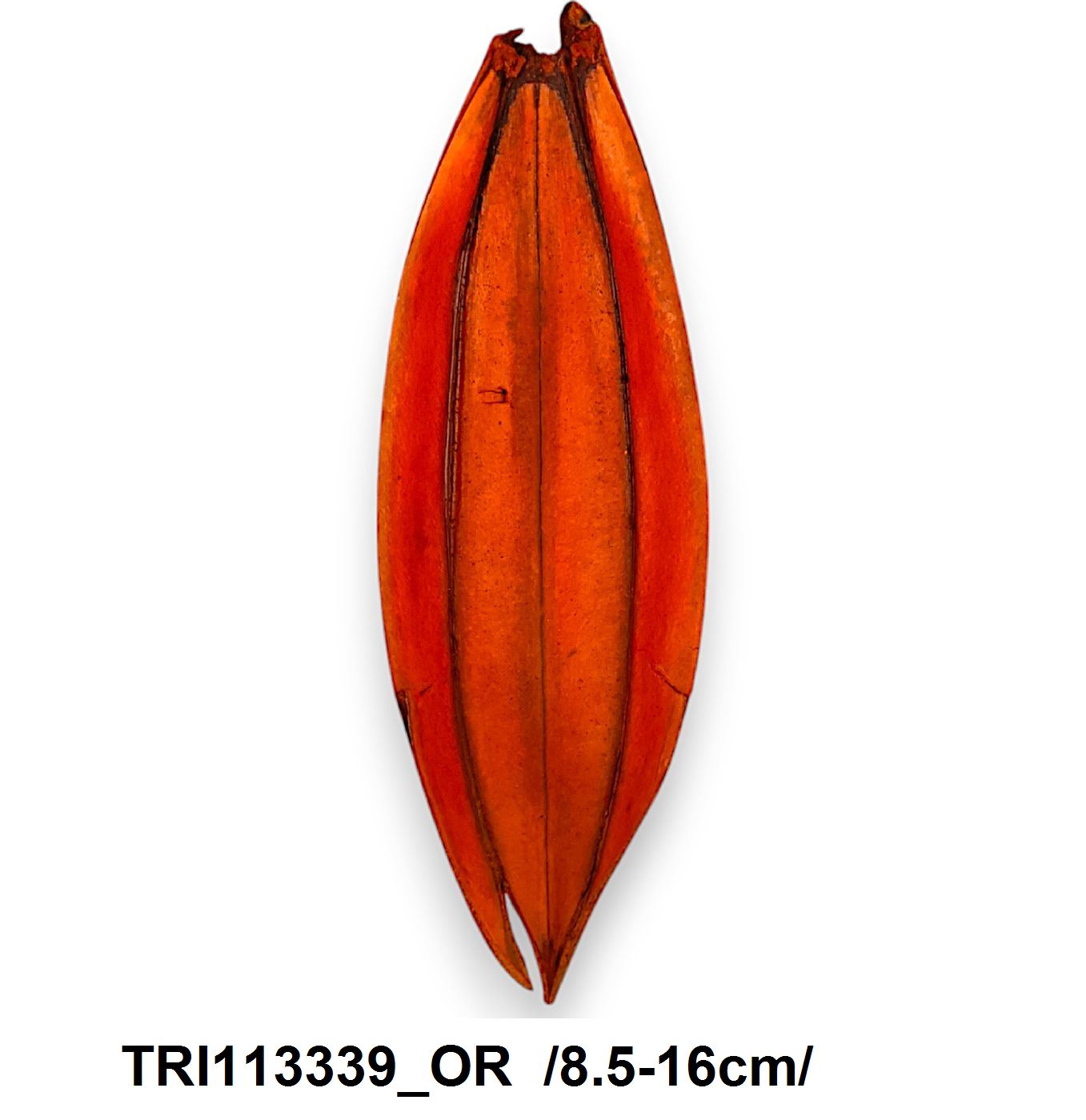 TRI113339_OR