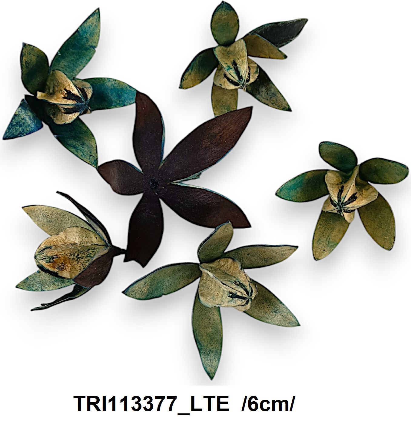 TRI113377_LTE