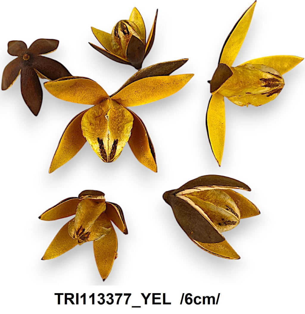 TRI113377_YEL