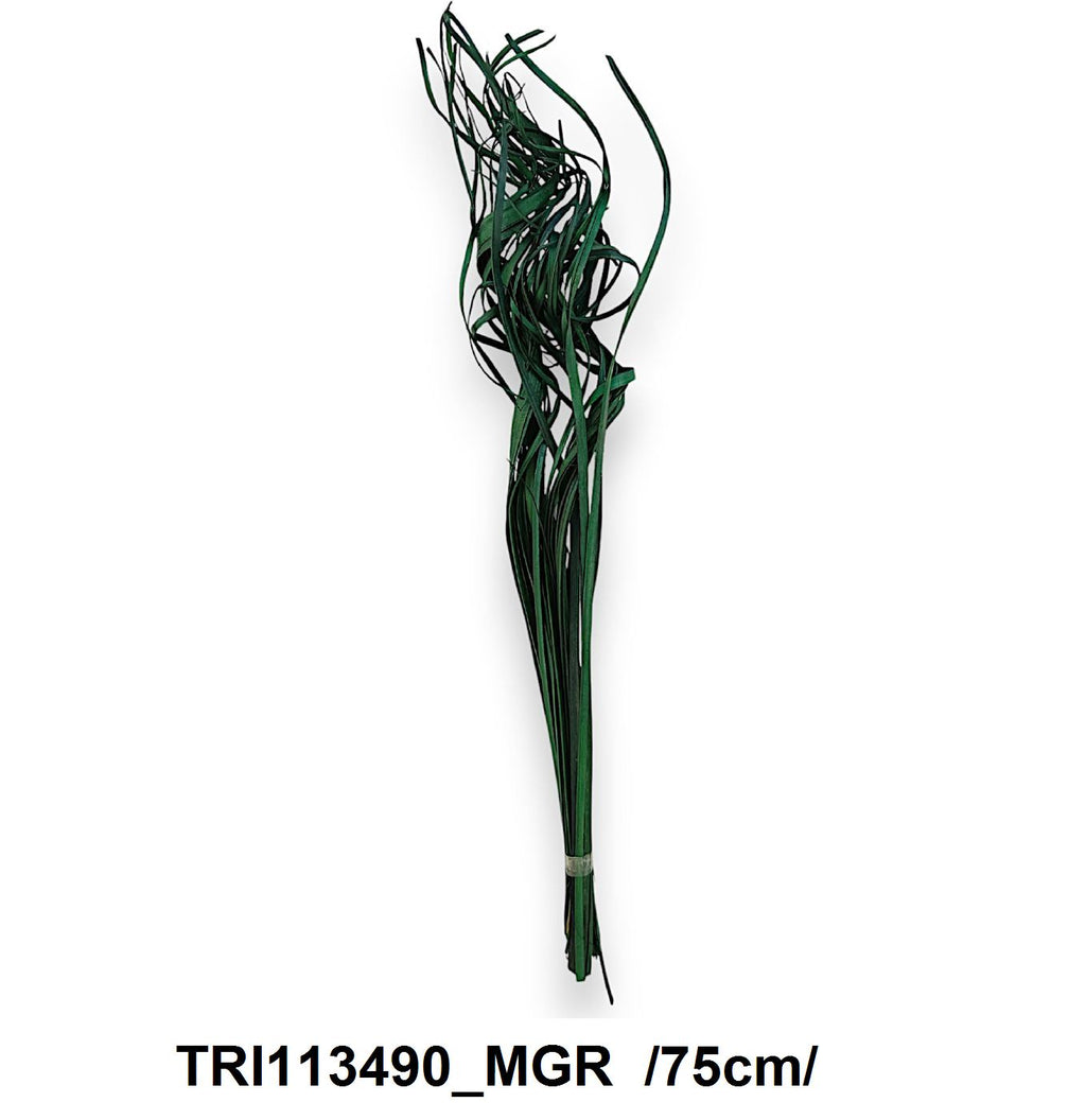 TRI113490_MGR
