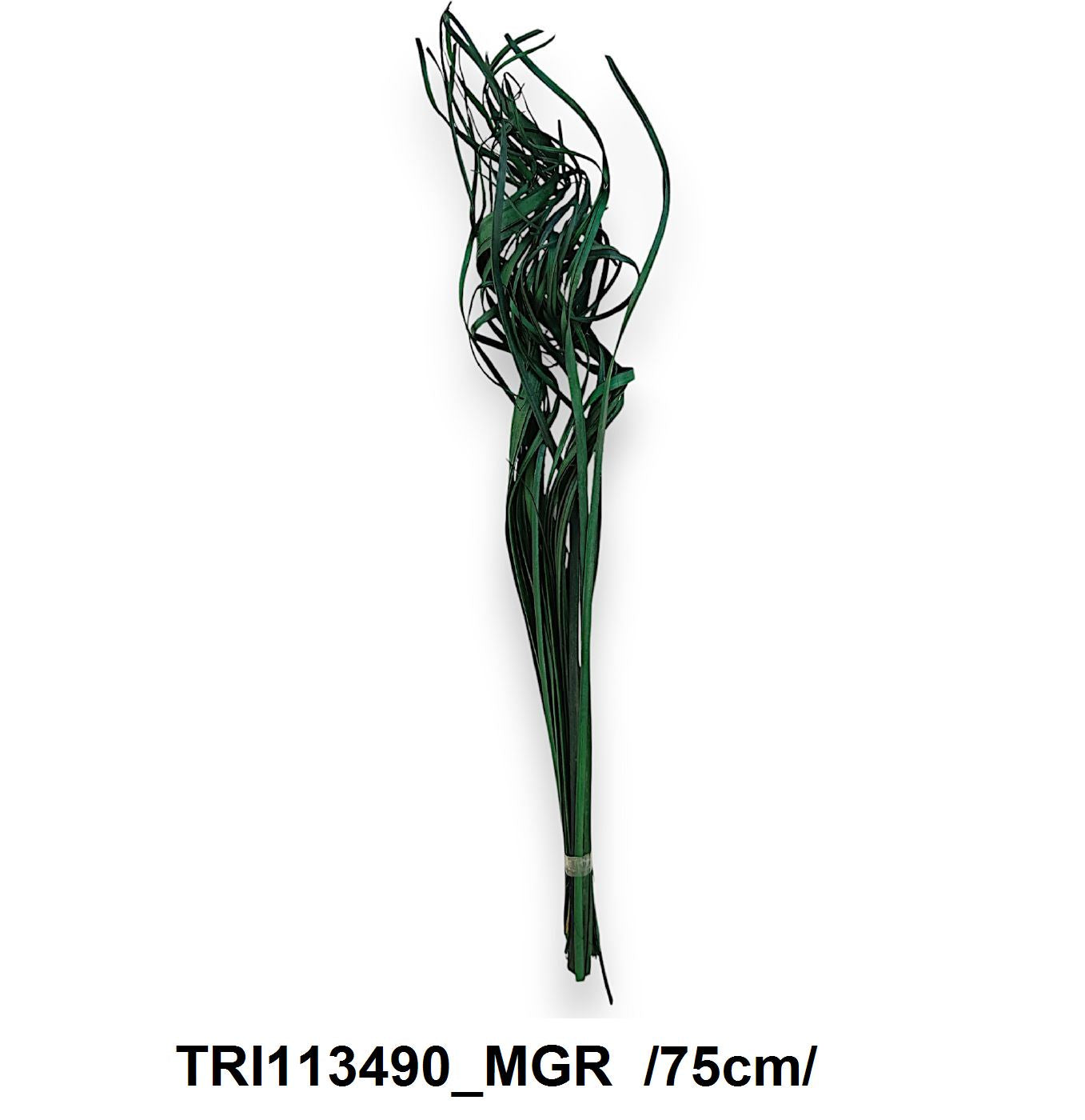 TRI113490_MGR