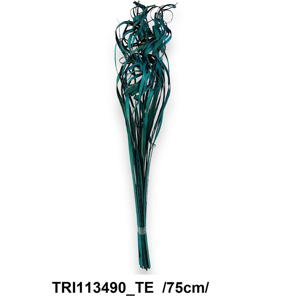 TRI113490_TE