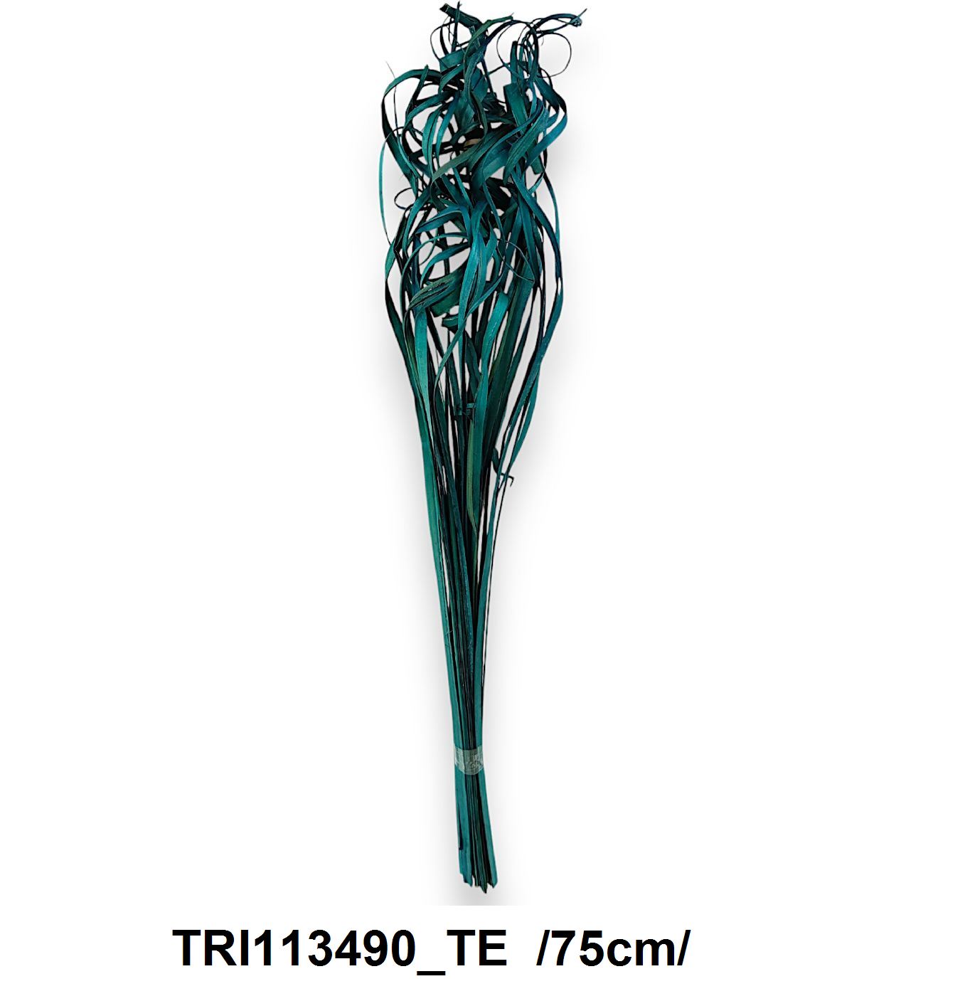 TRI113490_TE