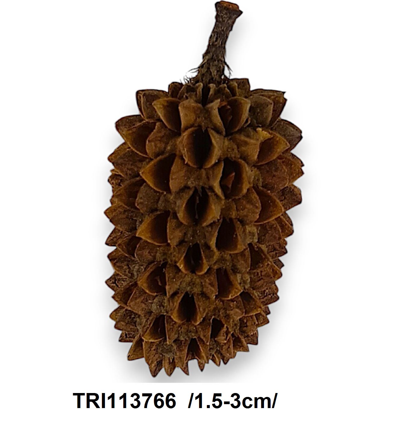 200 G/Z,NATÚR