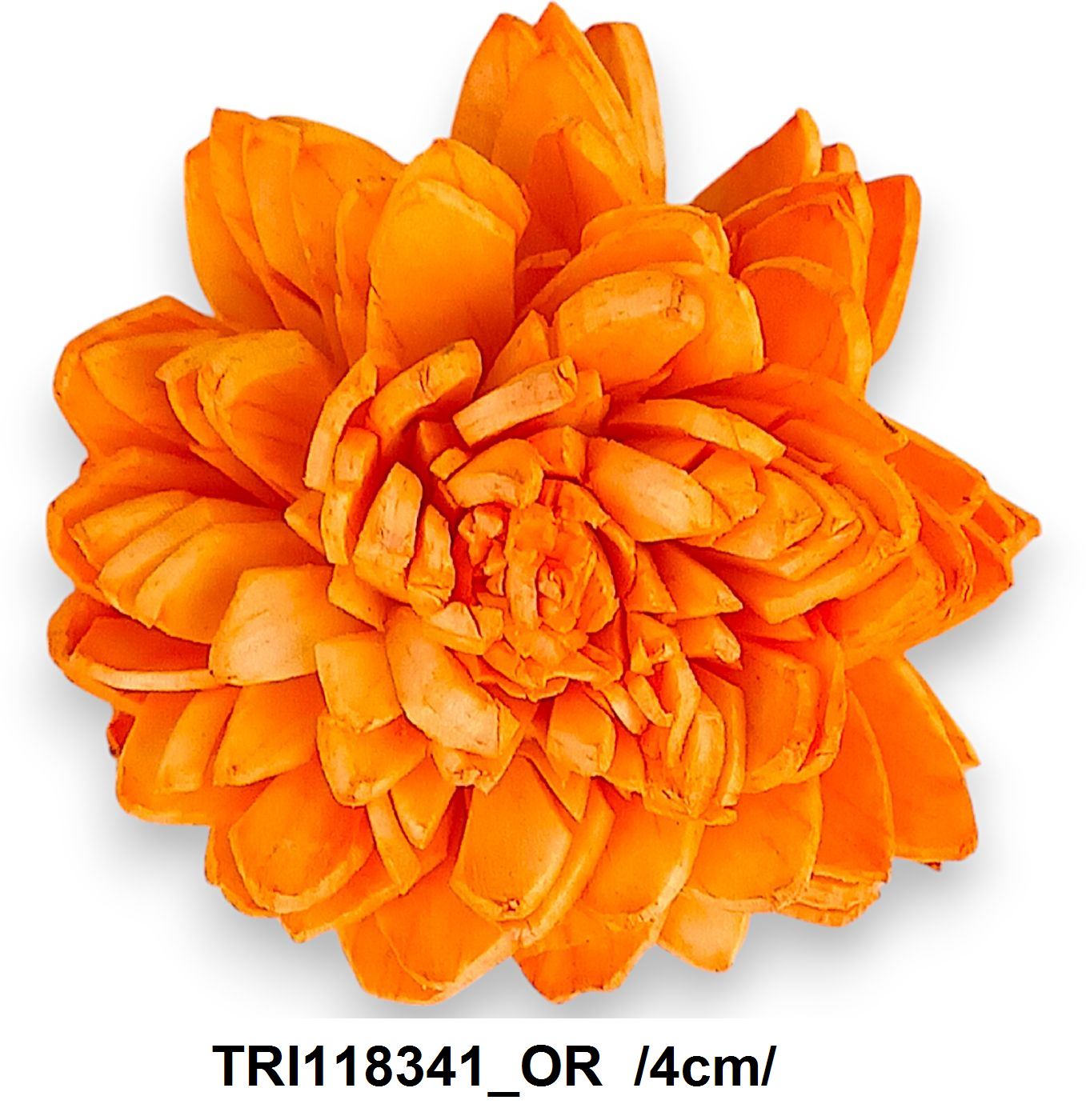 ZINNIA 4 cm 40 db\z Fő kép