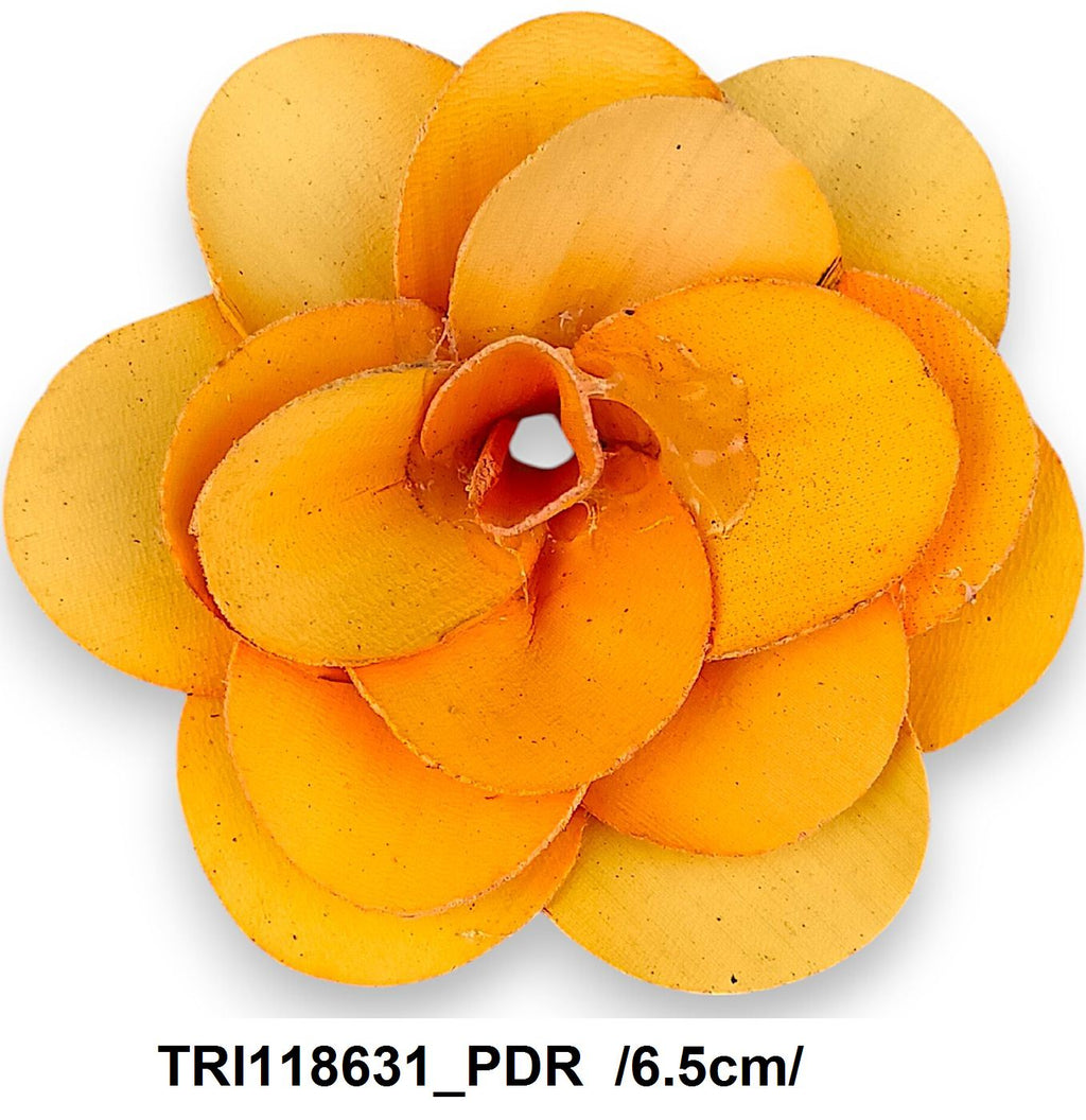 TRI118631_PDR