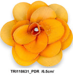 TRI118631_PDR