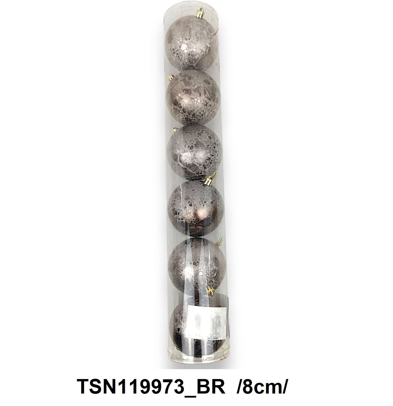 TSN119973_BR