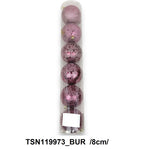 TSN119973_BUR