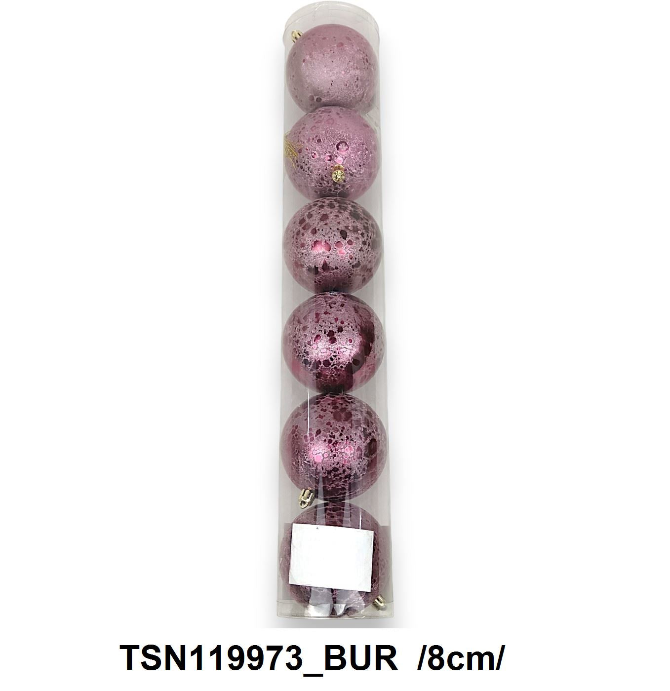 TSN119973_BUR