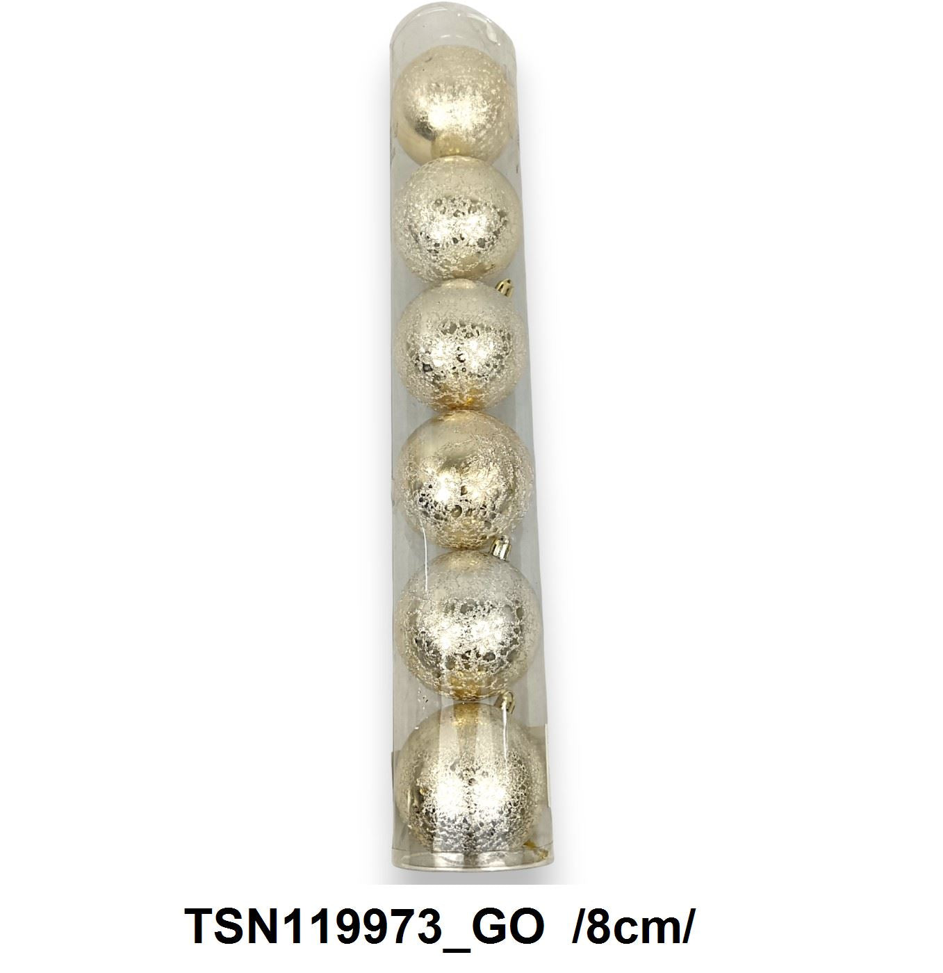 TSN119973_GO