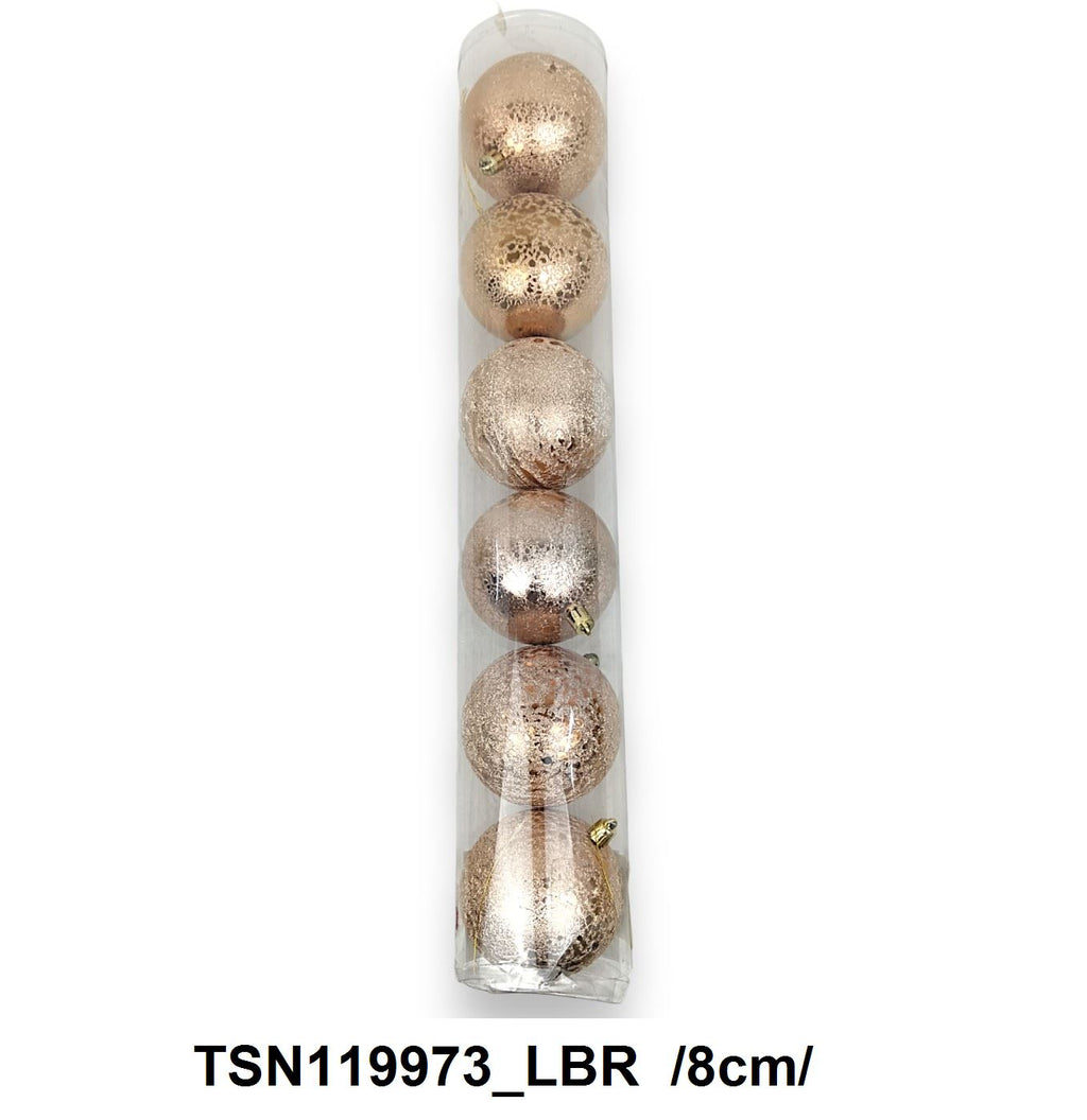 TSN119973_LBR