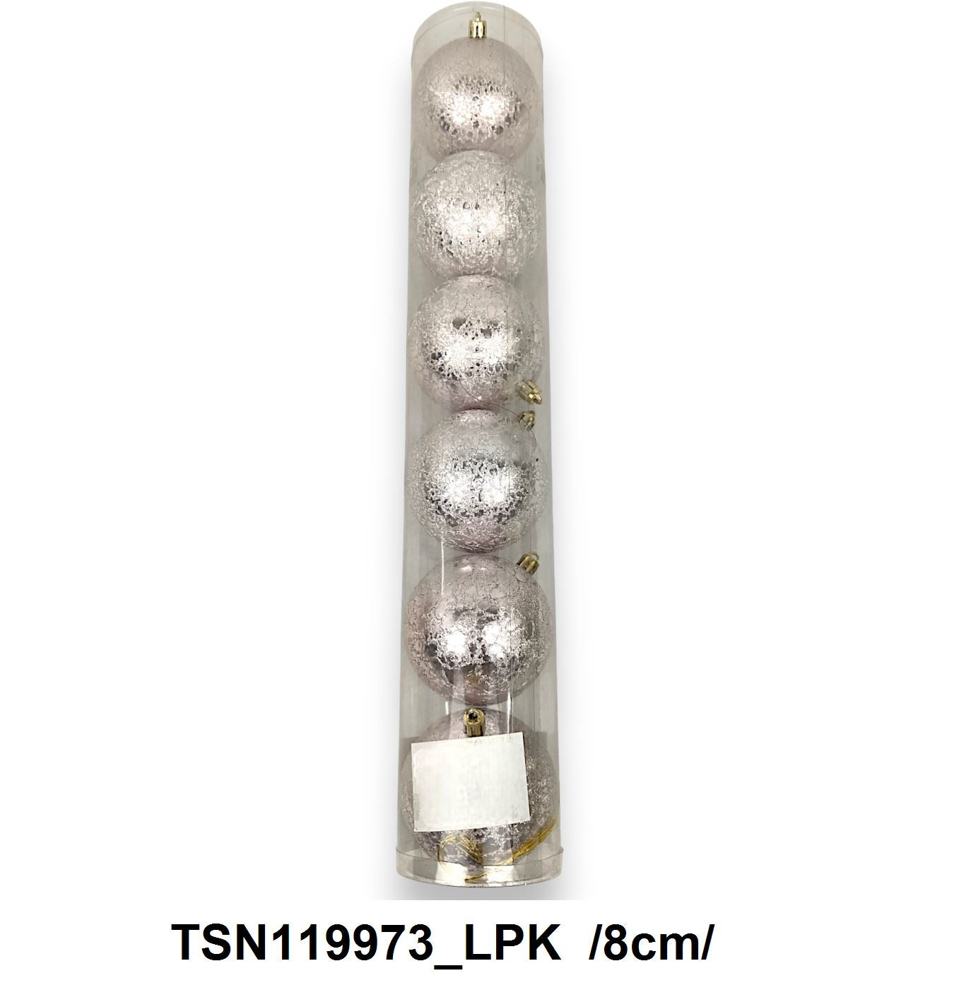 TSN119973_LPK