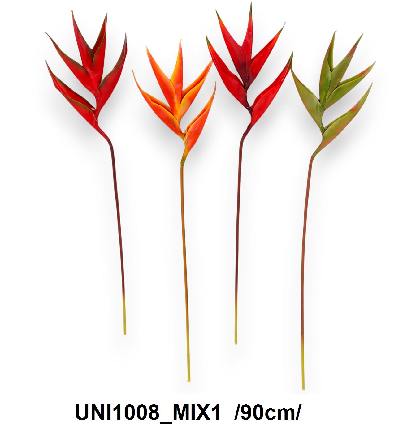 Szálas helikonia /90cm/ Fő kép