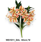 WEI1011_SAL