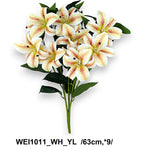 WEI1011_WH_YL