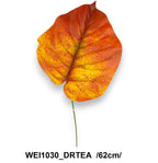 WEI1030_DRTEA