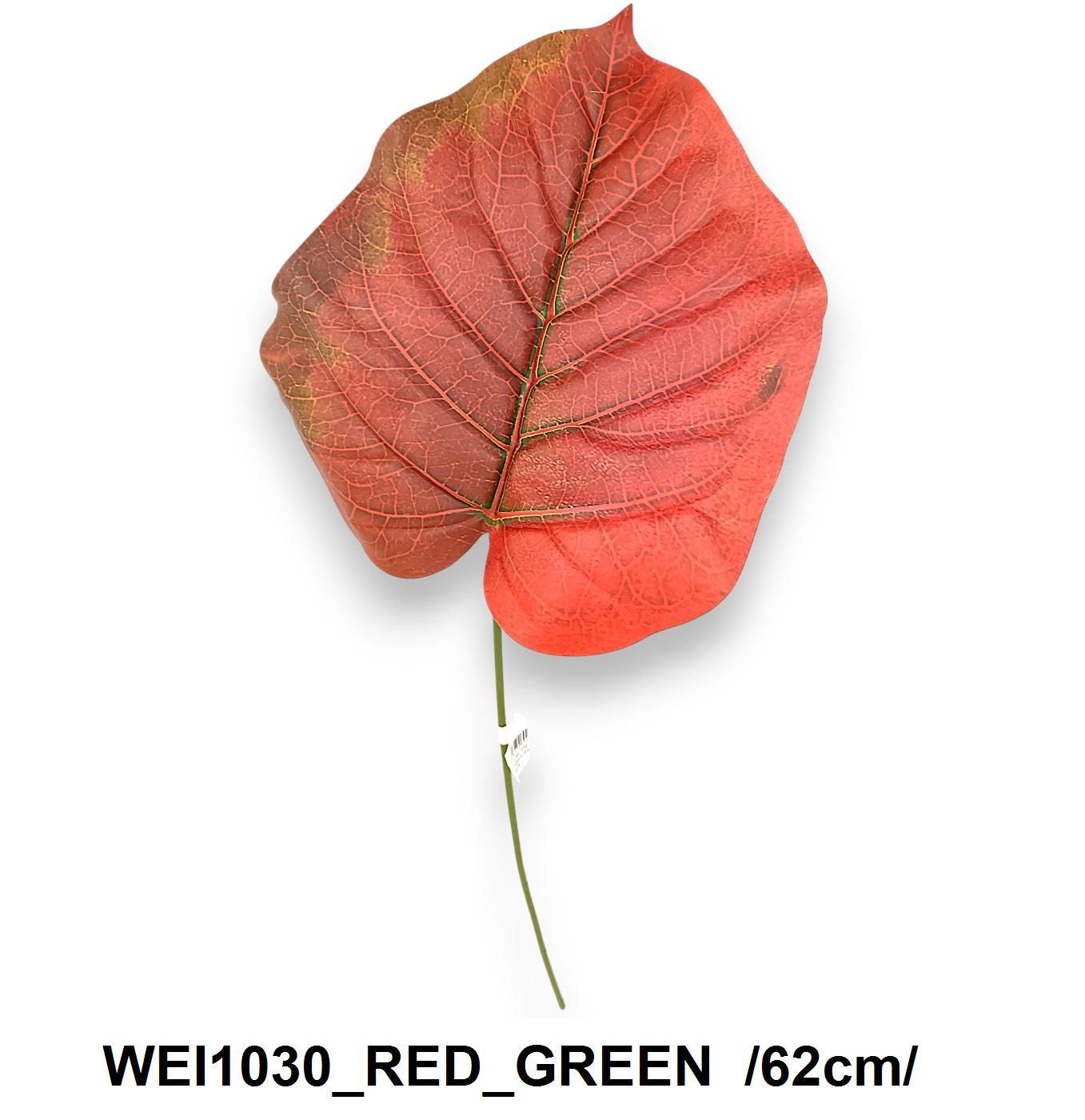 WEI1030_RED_GREEN