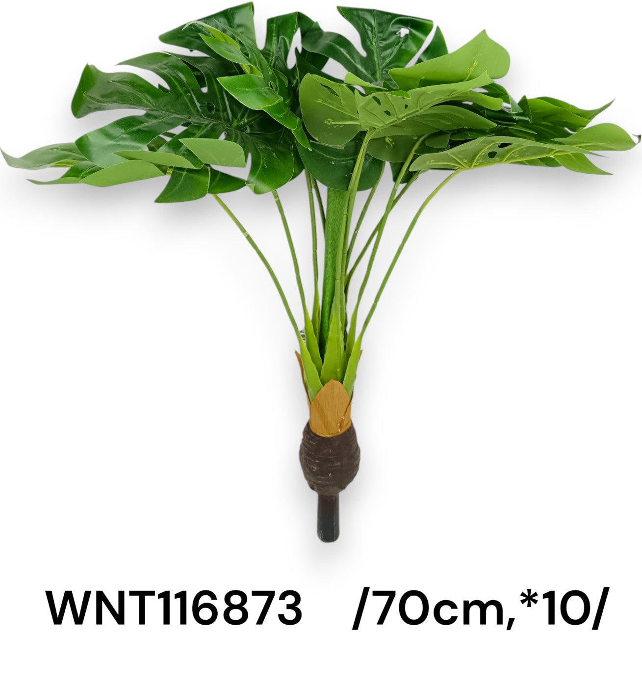 Filodendron cserép nélkül /70cm,*10/ Fő kép