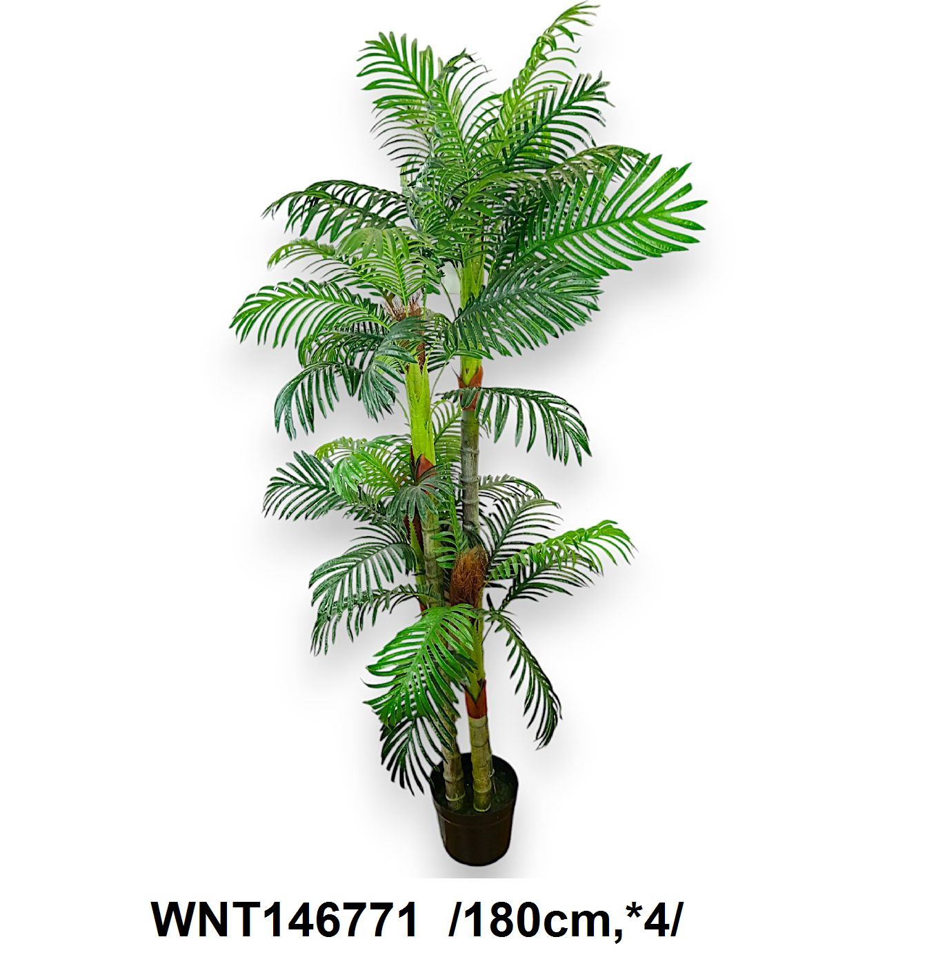 Álló pálmafa cseréppel  /180cm,*4/