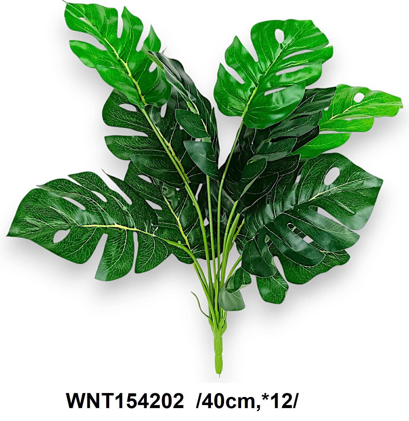 Monstera leveles bokor, élethû levelekkel /40cm,*12/