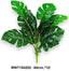 Monstera leveles bokor, élethû levelekkel /40cm,*12/