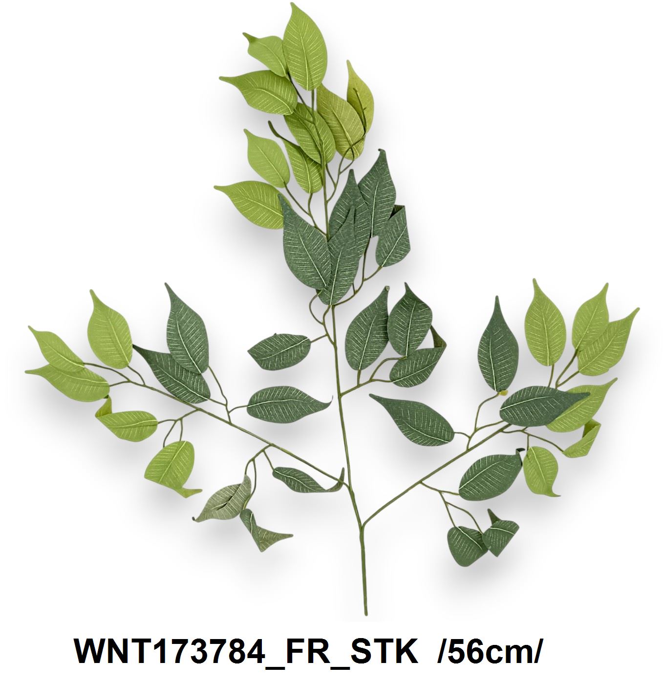 Fikusz ág, 42 levéllel /56cm/ Fő kép