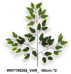 WNT198268_VAR_