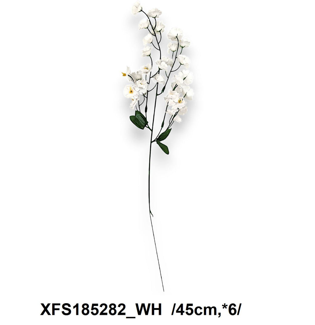 XFS185282_WH