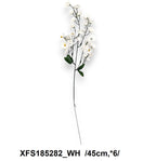 XFS185282_WH