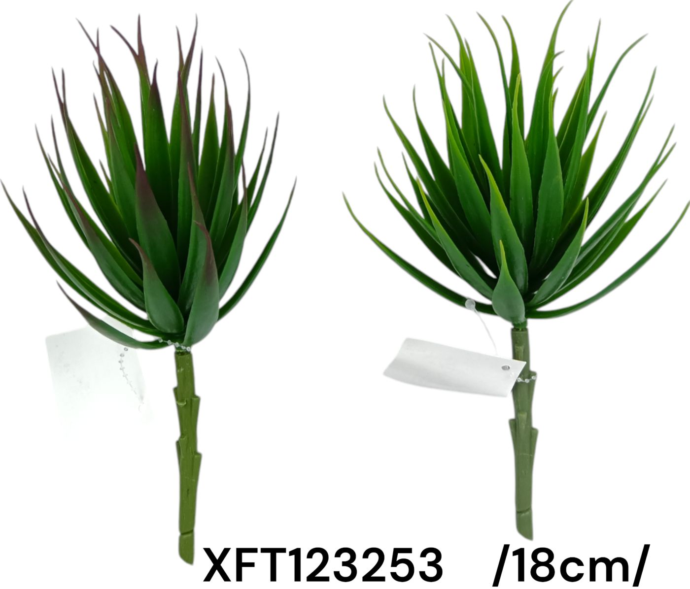 Yukka fej pick /18cm/ Fő kép