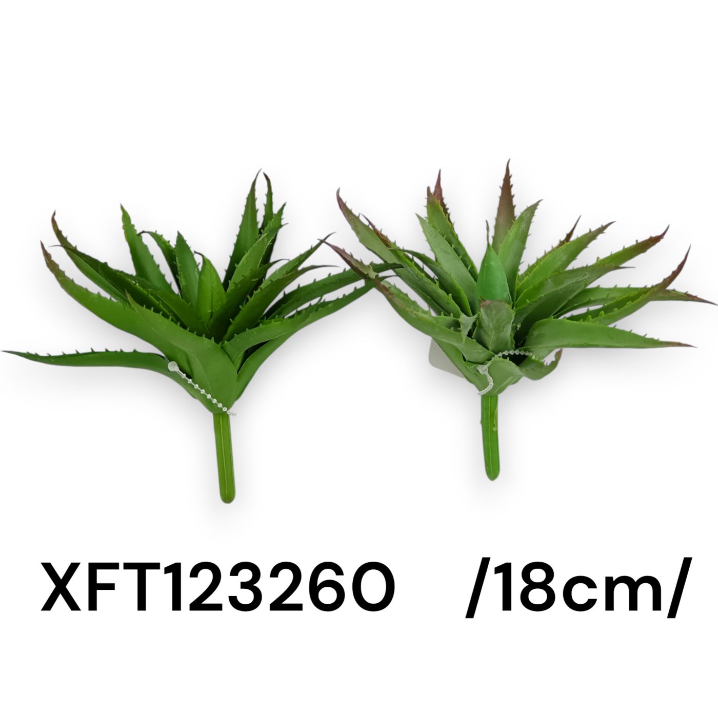 Agave pick /14cm/ Fő kép
