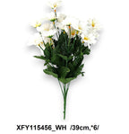 XFY115456_WH