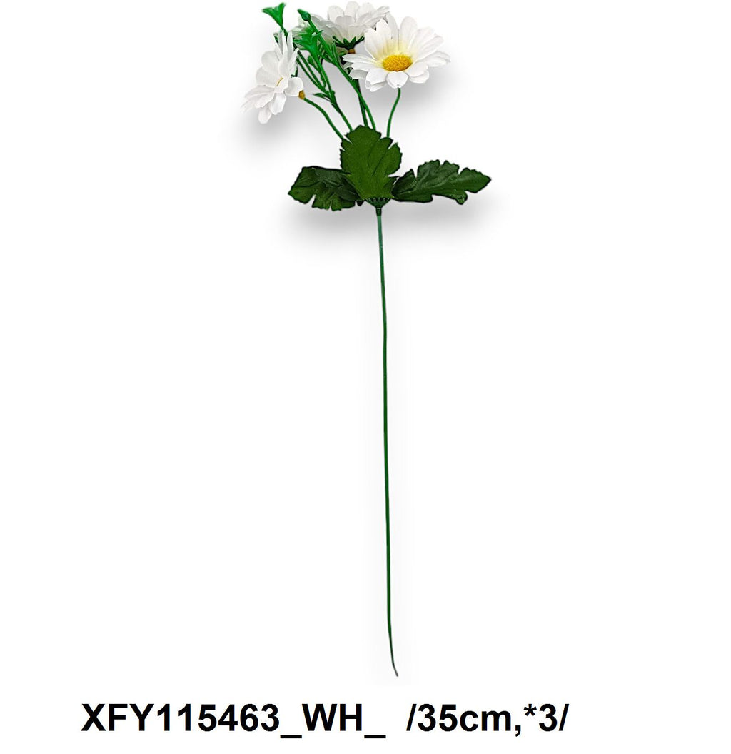 XFY115463_WH_