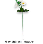 XFY115463_WH_