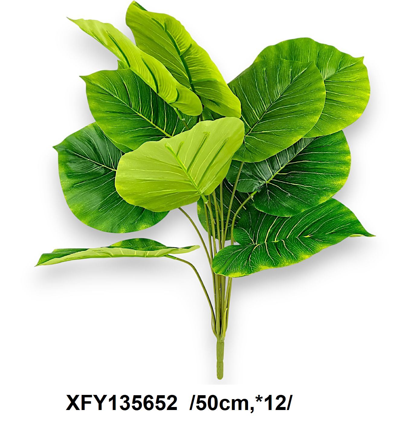 Zöld dieffenbachia bokor, mûanyag  /50cm,*12/