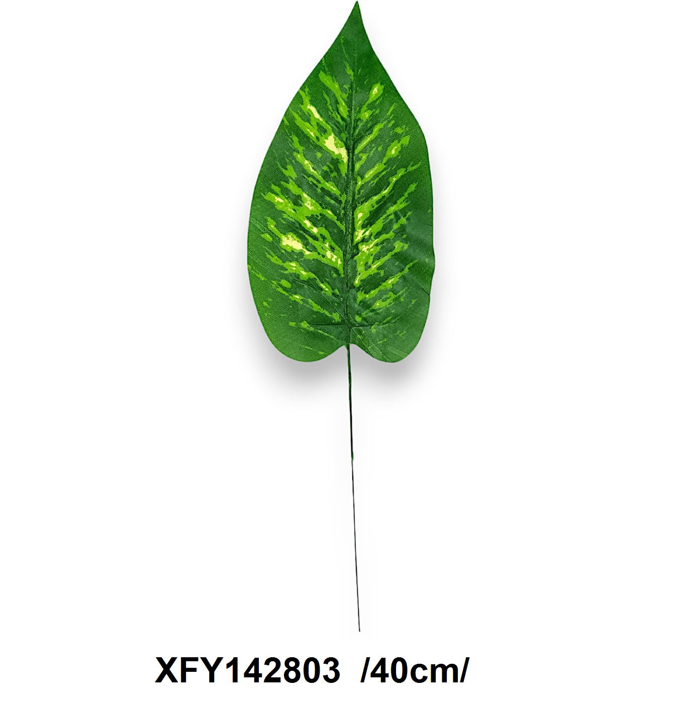 Mintás kis dieffenbachia levél /40cm/ Fő kép