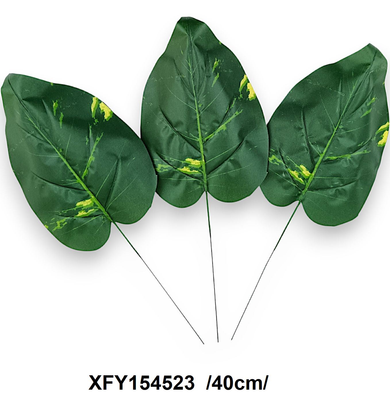 Kerekded dieffenbachia levél /40cm/